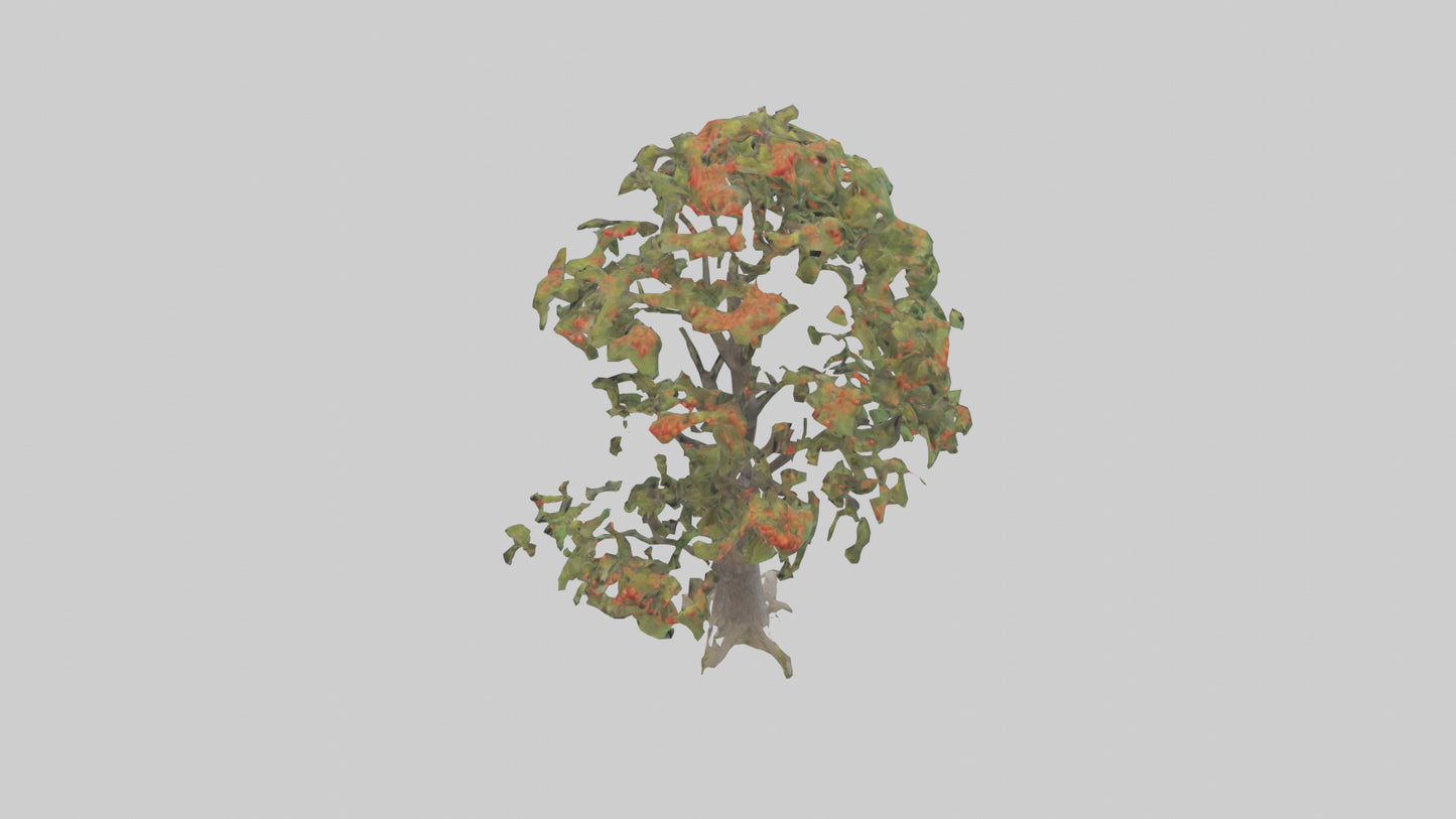 Mountain Ash tree model VR / AR / low-poly