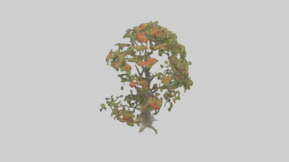 Mountain Ash tree model VR / AR / low-poly