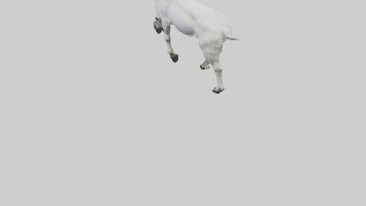 3D model Mountain Goat scaling cliff model VR / AR / low-poly