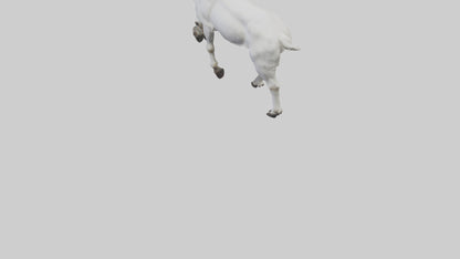 3D model Mountain Goat scaling cliff model VR / AR / low-poly