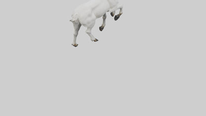 3D model Mountain Goat scaling cliff model VR / AR / low-poly