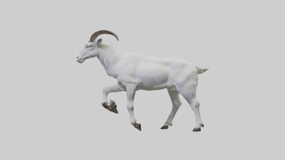 3D model Mountain Goat scaling cliff model VR / AR / low-poly