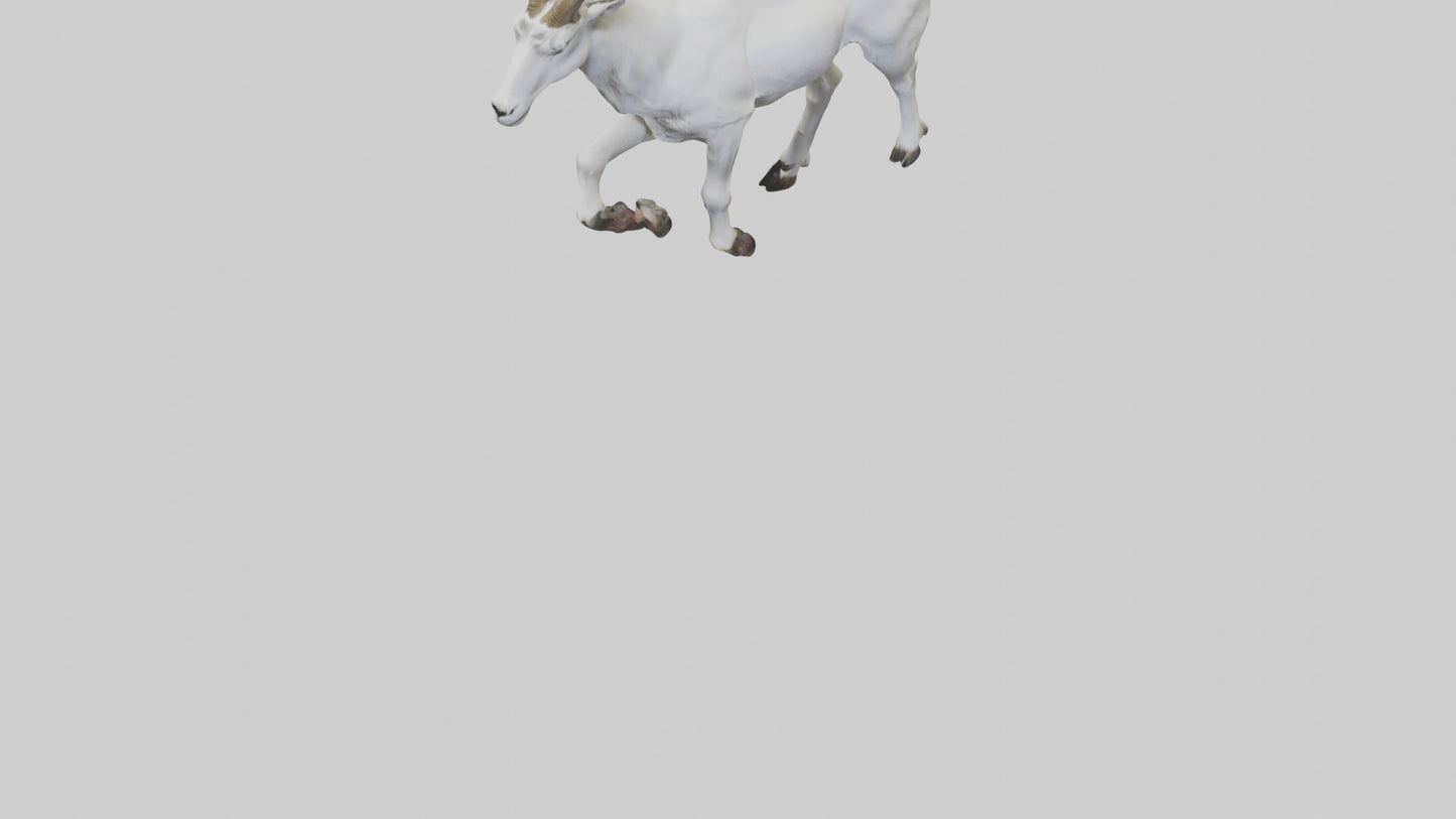 3D model Mountain Goat scaling cliff model VR / AR / low-poly