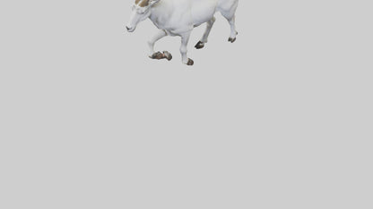 3D model Mountain Goat scaling cliff model VR / AR / low-poly