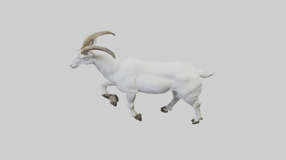 3D model Mountain Goat scaling cliff model VR / AR / low-poly
