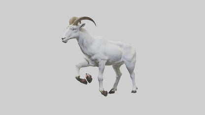 3D model Mountain Goat scaling cliff model VR / AR / low-poly