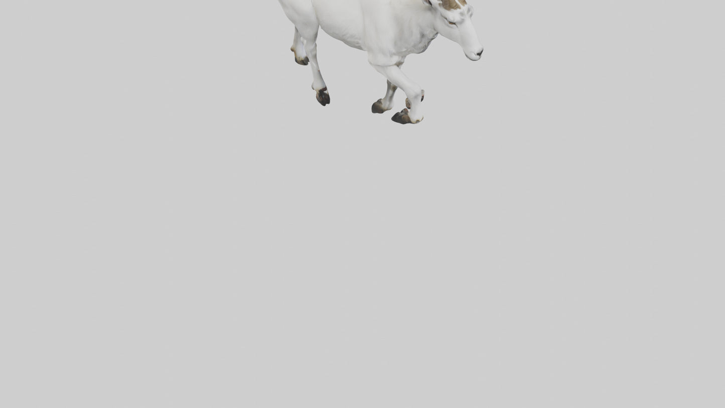 3D model Mountain Goat scaling cliff model VR / AR / low-poly