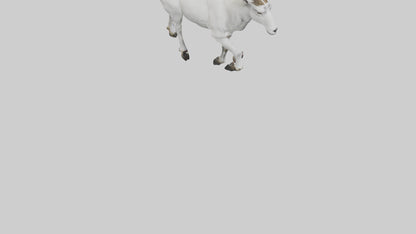 3D model Mountain Goat scaling cliff model VR / AR / low-poly
