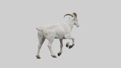 3D model Mountain Goat scaling cliff model VR / AR / low-poly