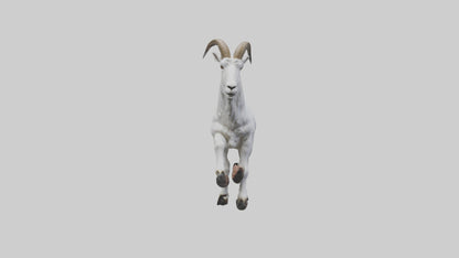 3D model Mountain Goat scaling cliff model VR / AR / low-poly
