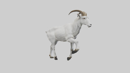 3D model Mountain Goat scaling cliff model VR / AR / low-poly