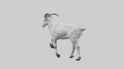 3D model Mountain Goat scaling cliff model VR / AR / low-poly