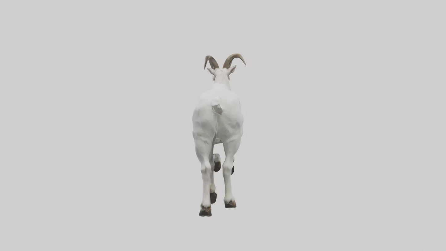 3D model Mountain Goat scaling cliff model VR / AR / low-poly