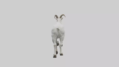 3D model Mountain Goat scaling cliff model VR / AR / low-poly