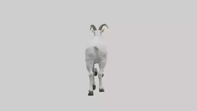 3D model Mountain Goat scaling cliff model VR / AR / low-poly