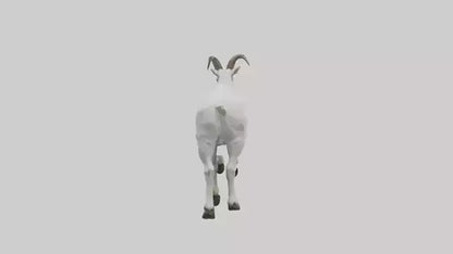 3D model Mountain Goat scaling cliff model VR / AR / low-poly