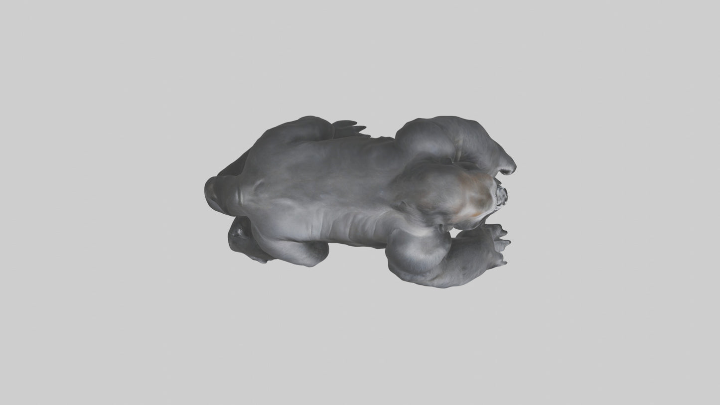 Mountain Gorilla sitting model VR / AR / low-poly