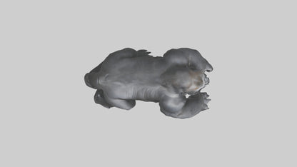 Mountain Gorilla sitting model VR / AR / low-poly