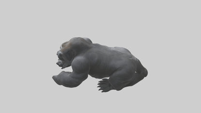 Mountain Gorilla sitting model VR / AR / low-poly