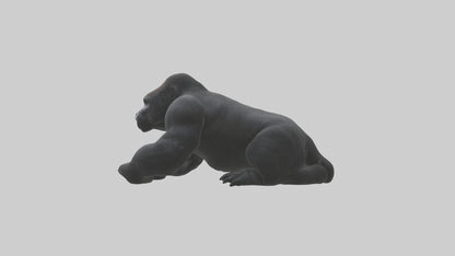 Mountain Gorilla sitting model VR / AR / low-poly