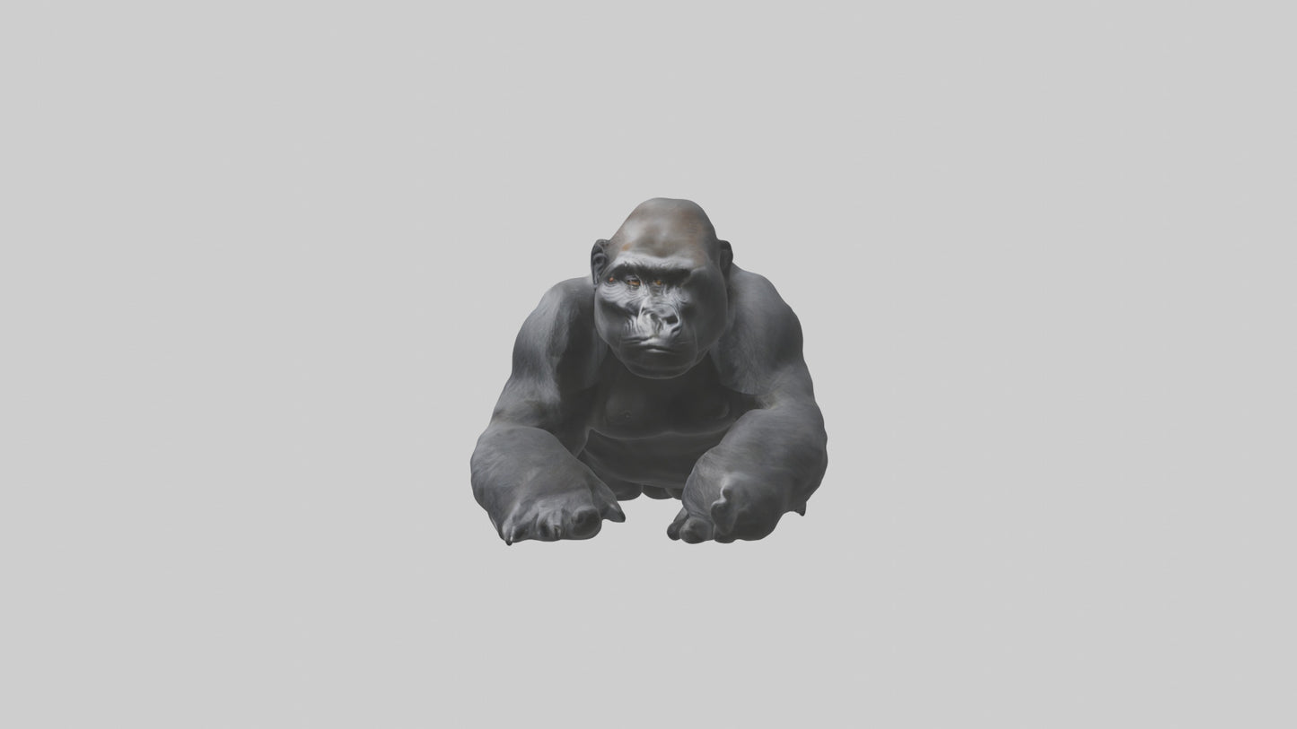 Mountain Gorilla sitting model VR / AR / low-poly
