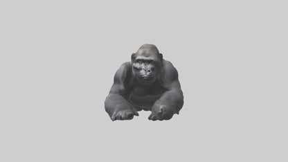 Mountain Gorilla sitting model VR / AR / low-poly