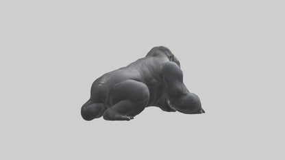 Mountain Gorilla sitting model VR / AR / low-poly