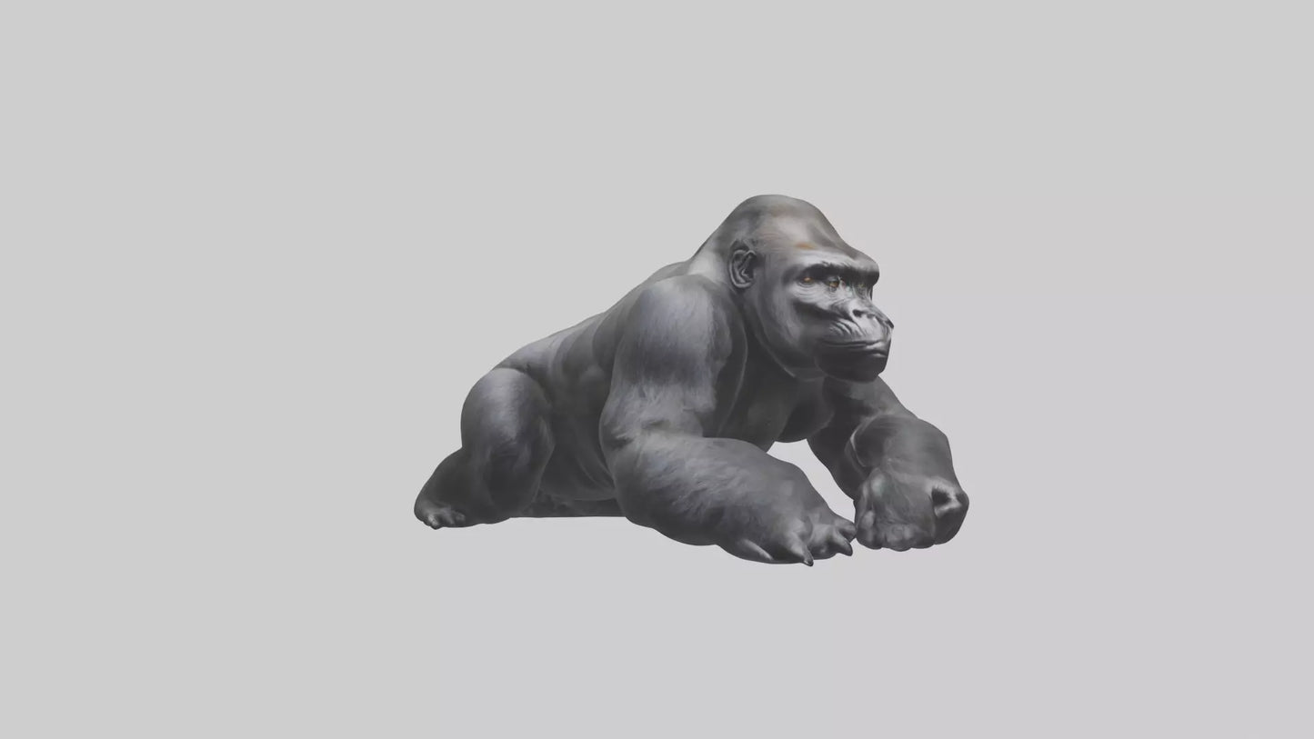 Mountain Gorilla sitting model VR / AR / low-poly