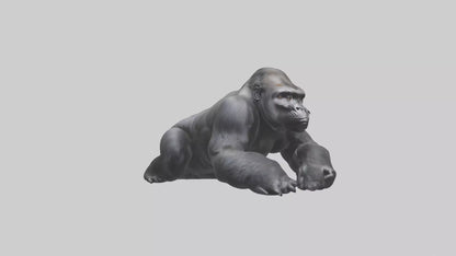 Mountain Gorilla sitting model VR / AR / low-poly