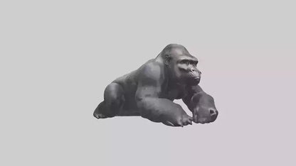 Mountain Gorilla sitting model VR / AR / low-poly