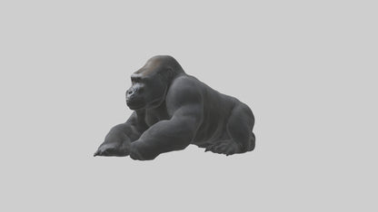 Mountain Gorilla sitting model VR / AR / low-poly