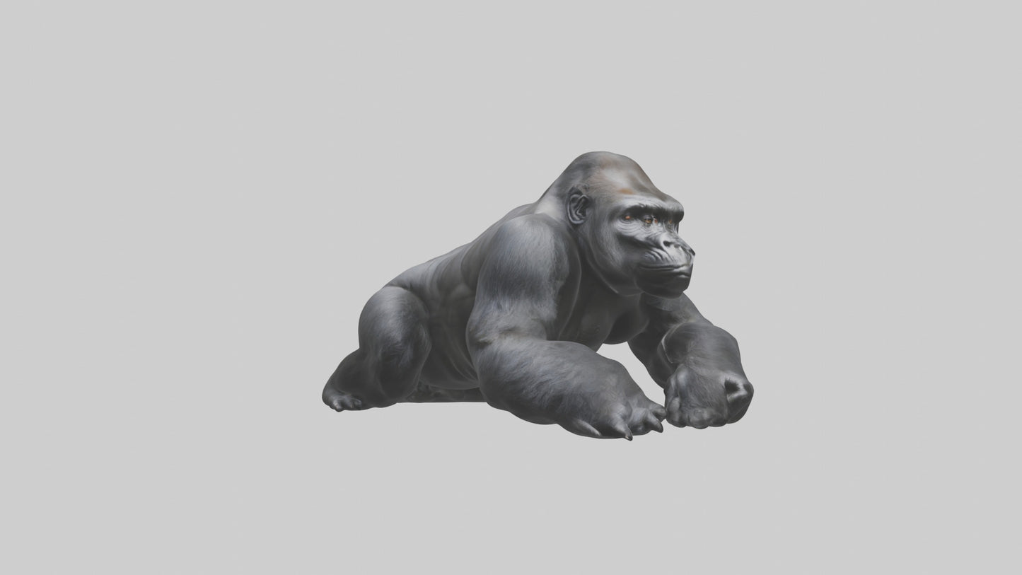 Mountain Gorilla sitting model VR / AR / low-poly
