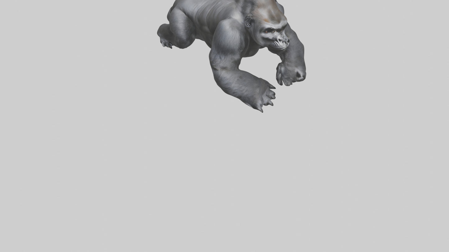 Mountain Gorilla sitting model VR / AR / low-poly
