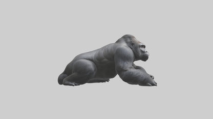 Mountain Gorilla sitting model VR / AR / low-poly