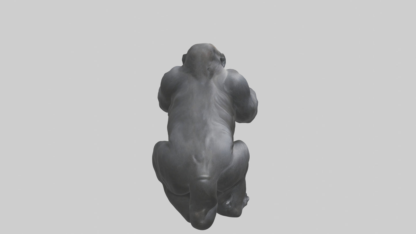 Mountain Gorilla sitting model VR / AR / low-poly