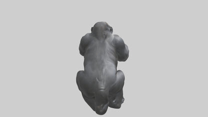 Mountain Gorilla sitting model VR / AR / low-poly