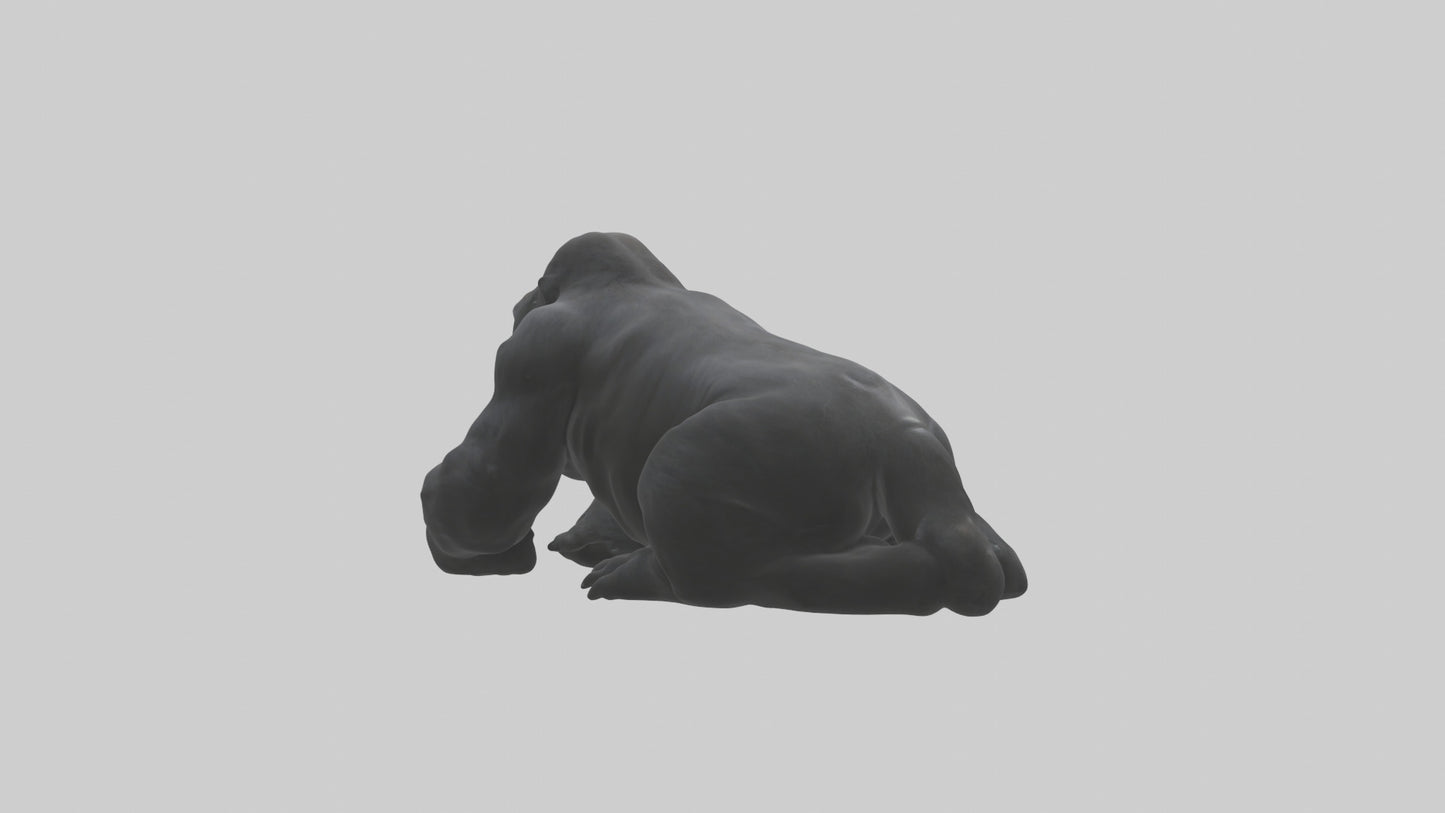 Mountain Gorilla sitting model VR / AR / low-poly