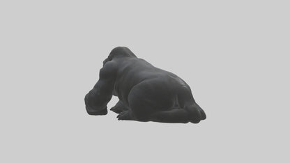 Mountain Gorilla sitting model VR / AR / low-poly