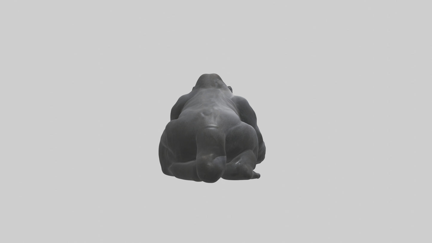 Mountain Gorilla sitting model VR / AR / low-poly