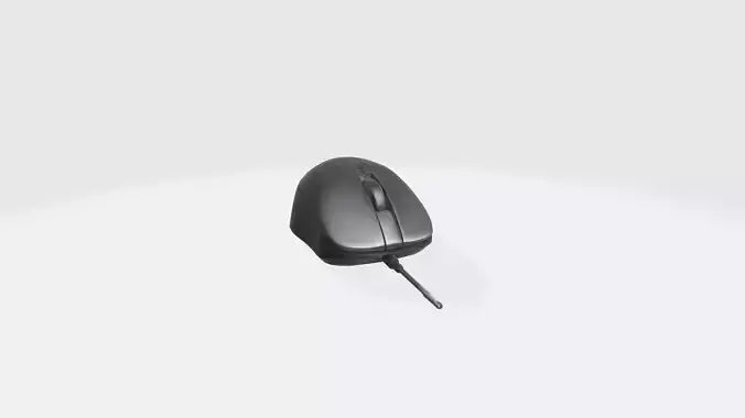 Mouse for Computer Model 3D model
