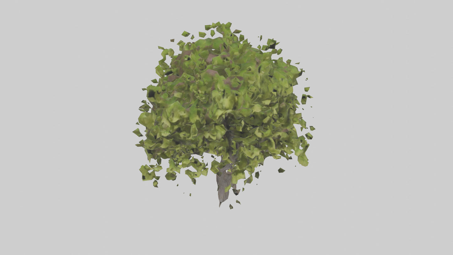 3D model Mulberry tree model VR / AR / low-poly