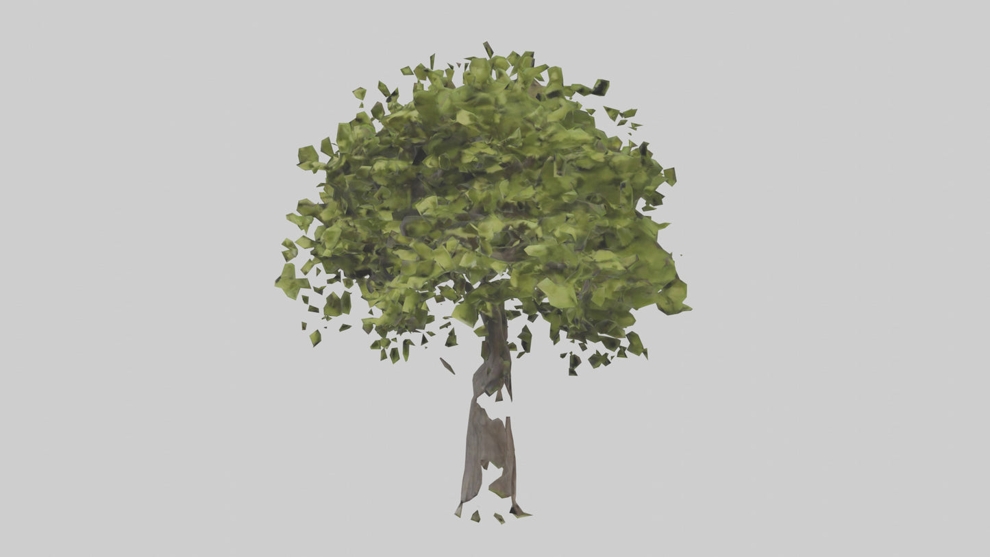 3D model Mulberry tree model VR / AR / low-poly