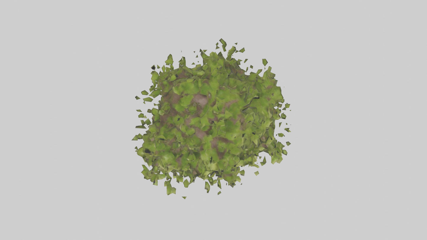 3D model Mulberry tree model VR / AR / low-poly