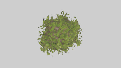 3D model Mulberry tree model VR / AR / low-poly