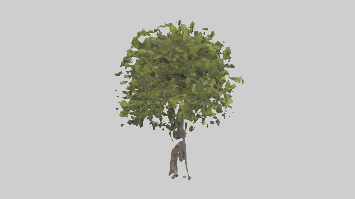 3D model Mulberry tree model VR / AR / low-poly