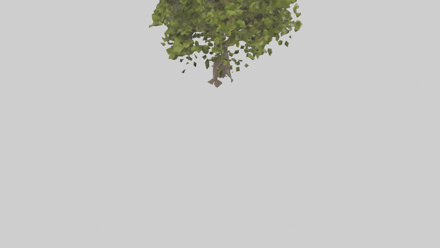 3D model Mulberry tree model VR / AR / low-poly