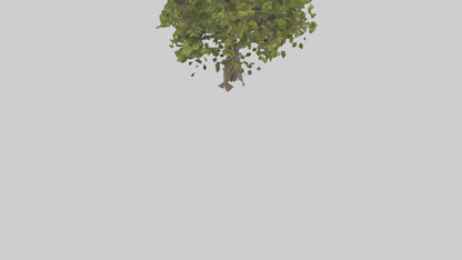 3D model Mulberry tree model VR / AR / low-poly
