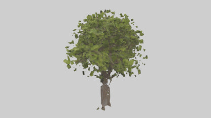 3D model Mulberry tree model VR / AR / low-poly