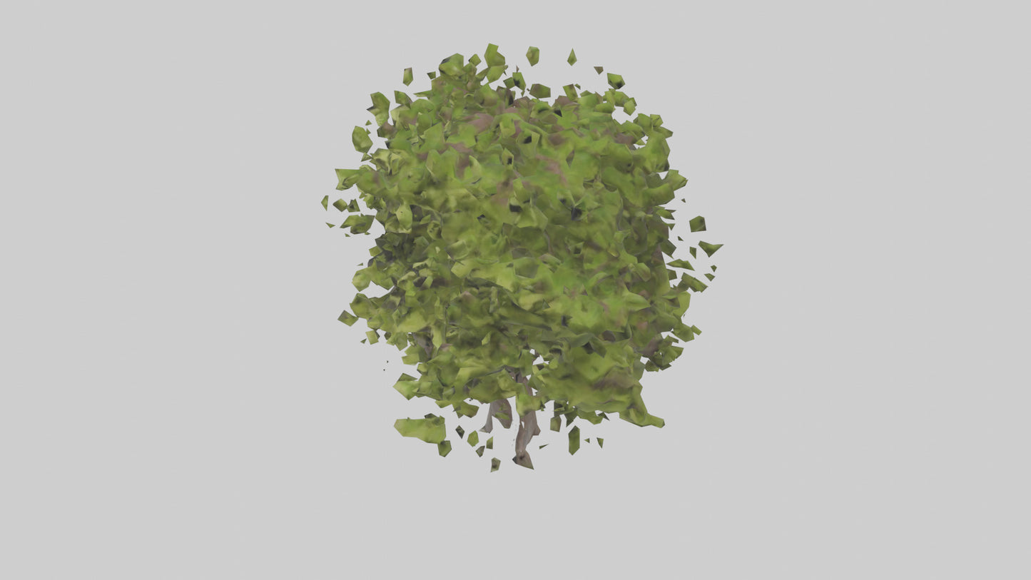 3D model Mulberry tree model VR / AR / low-poly