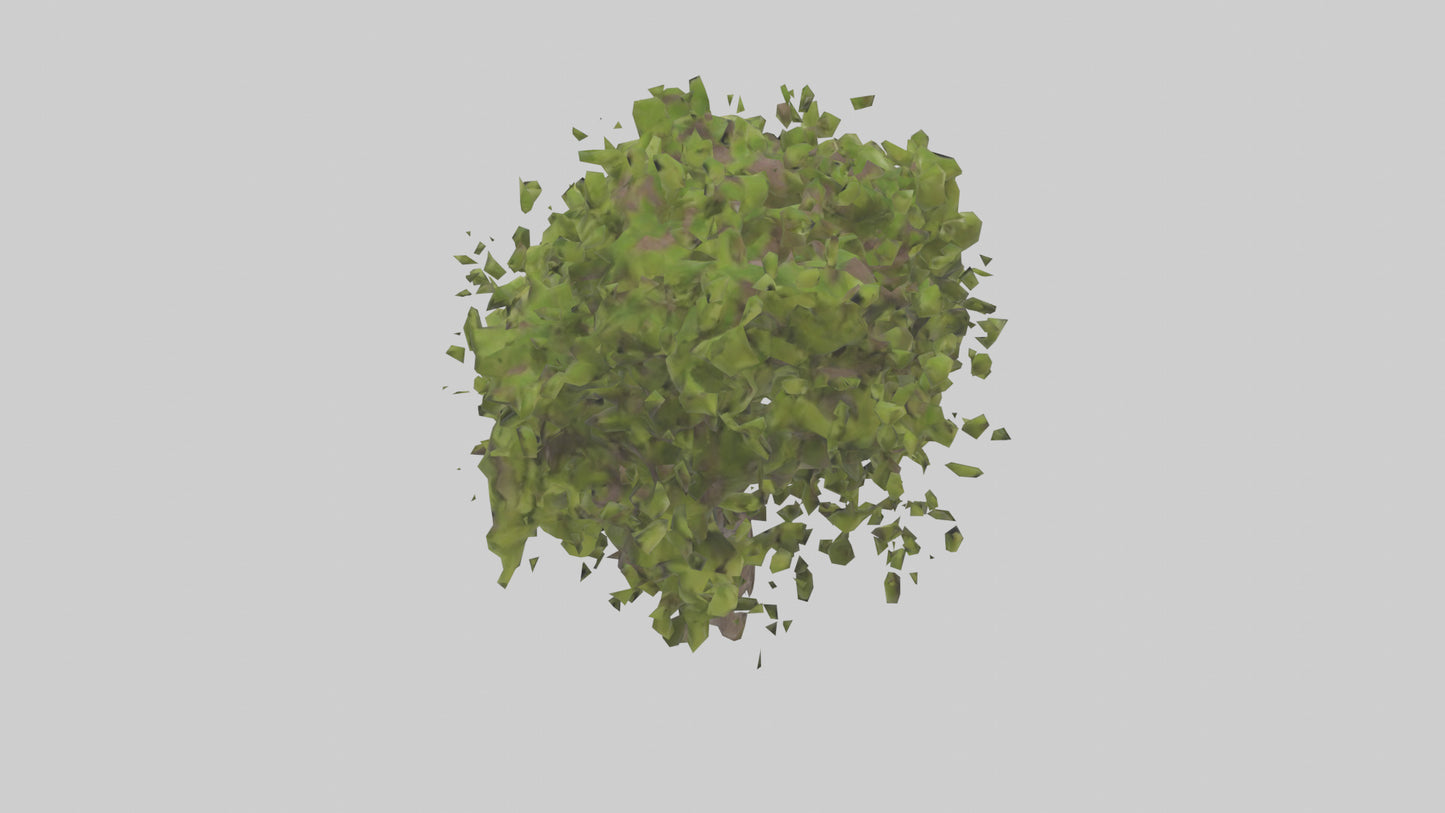 3D model Mulberry tree model VR / AR / low-poly